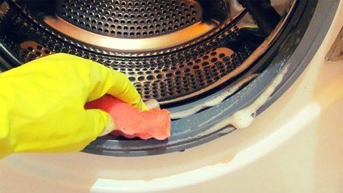 Как отмыть стиральную машину изнутри от плесени