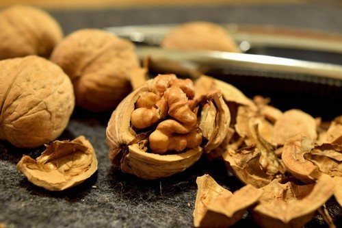 Как хранить грецкие орехи очищенные в домашних условиях: способы и особенности