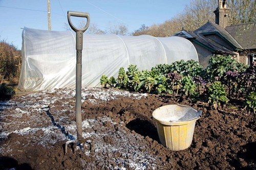Как можно обеззаразить почву в теплице осенью?