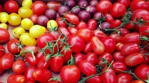 tomaty cherri 8 luchshih sortov dlya otkrytogo grunta 01