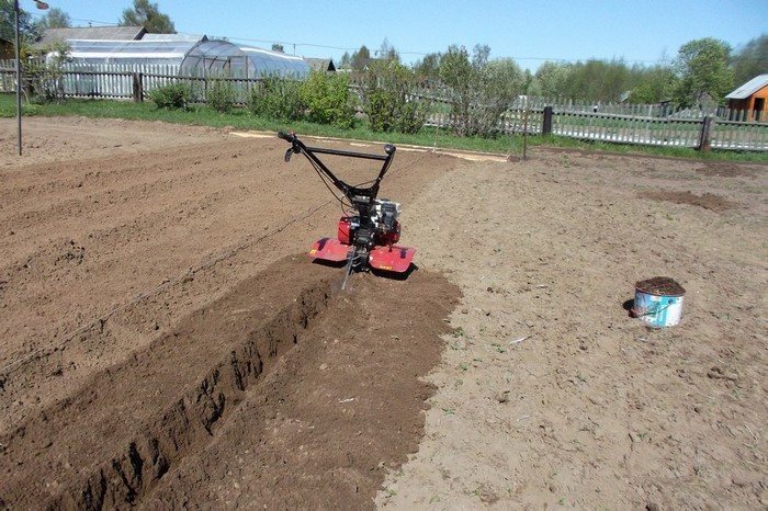 Плохая подготовка почвы