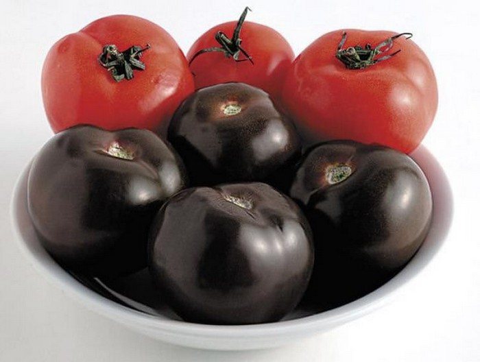 4 лучших сорта черных томатов с описанием и фото