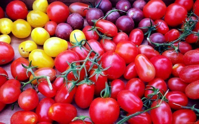 Описание сортов томатов серии 
